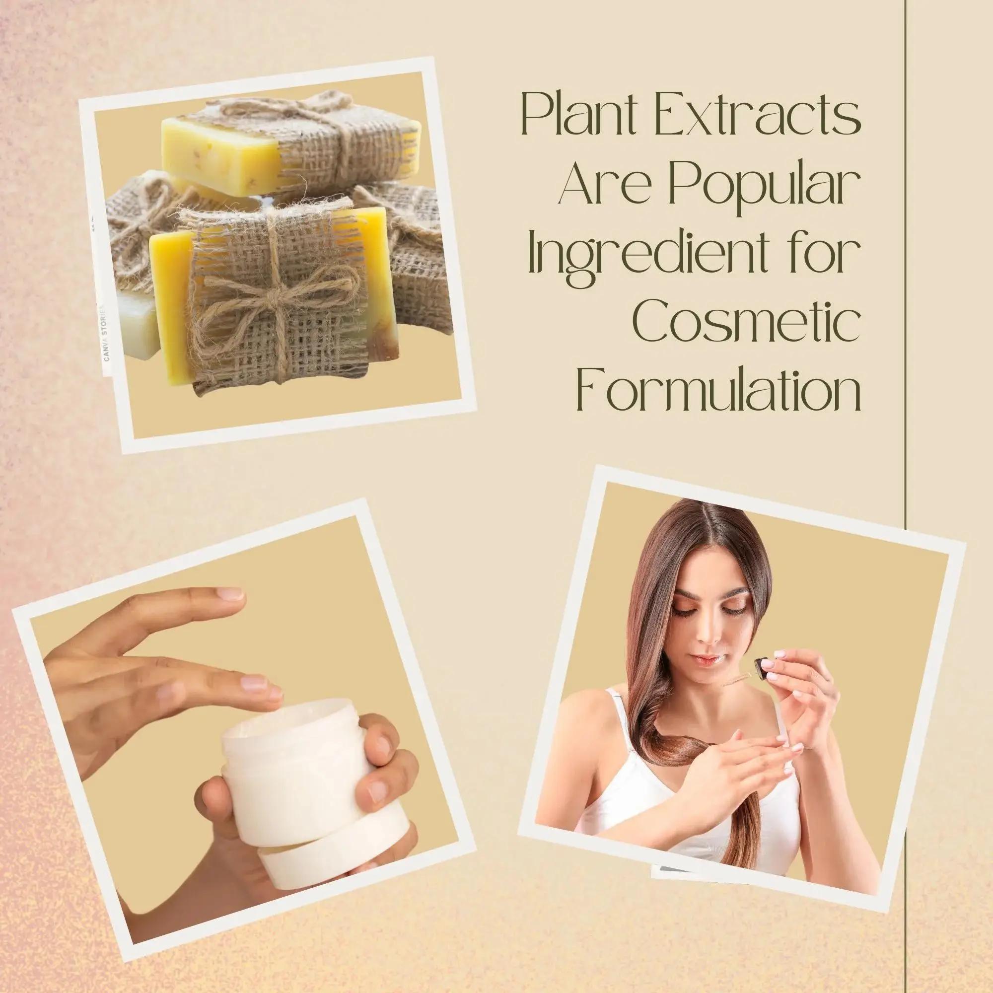 Extracto de jabonera de alta c - Hair Care For Hair Loss reseña y precio